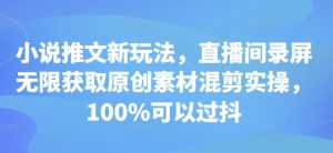 小说推文新玩法，直播间录屏无限获取原创素材混剪实操，100%可以过抖_网创资源库