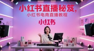 小红书直播秘笈，小红书电商直播教程_网创资源库