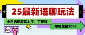25年最新语聊玩法，纯手工，单机收益100+，小白也能轻松上手，可矩阵操作_网创资源库