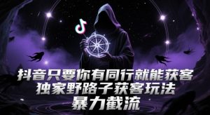 抖音只要你有同行就能获客，独家野路子获客玩法，暴力截流【揭秘】_网创资源库
