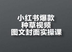 小红书爆款种草视频图文封面实操课，​开店、选品、引流、变现全流程_网创资源库