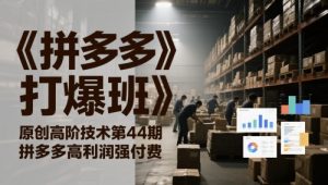《拼多多打爆班》原创高阶技术第44期，拼多多高利润强付费_网创资源库