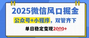 2025微信风口掘金，公众号+小程序双管齐下，单日稳定变现1k+【揭秘】_网创资源库