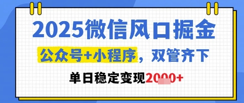 2025微信风口掘金，公众号+小程序双管齐下，单日稳定变现1k+【揭秘】_网创资源库