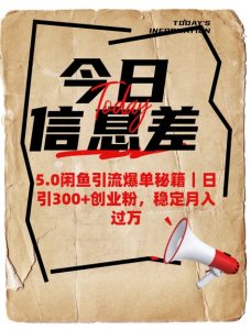 5.0闲鱼引流爆单秘籍，日引300+创业粉，稳定月入过W_网创资源库