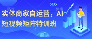 实体商家自运营，AI短视频矩阵特训班_网创资源库