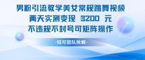 男粉引流教学美女常规跳舞视频两天实测变现1k+，不违规不封号可矩阵操作_网创资源库