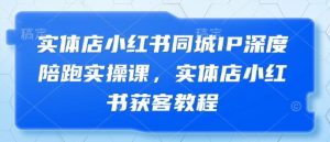 实体店小红书同城IP深度陪跑实操课，实体店小红书获客教程_网创资源库