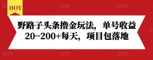 野路子头条撸金玩法，单号收益20~200+每天，项目包落地_网创资源库