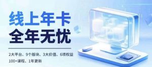 老陶电商线上年卡，拼多多、抖音，两大平台100+节课程_网创资源库