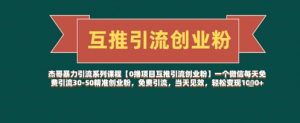 【0撸项目互推引流创业粉】一个微信每天免费引流30-50精准创业粉，免费引流，当天见效，轻松变现几张_网创资源库