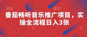 番茄畅听音乐推广项目，实操全流程日入3张_网创资源库