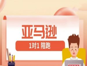 亚马逊1对1陪跑课(FBA/FBM精铺)跨境亚马逊教程_网创资源库
