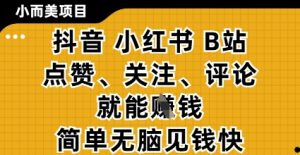 小而美的项目，抖音小红书B站视频点赞、关注、评论就能挣钱，简单无脑立见收益，妥妥的零撸项目【揭秘】_网创资源库
