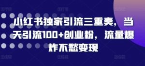 小红书独家引流三重奏，当天引流100+创业粉，流量爆炸不愁变现【揭秘】_网创资源库