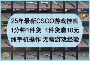 25年最新CSGO游戏挂G，1分钟1件货，1件货挣10元，纯手机操作，无需游戏经验【揭秘】_网创资源库