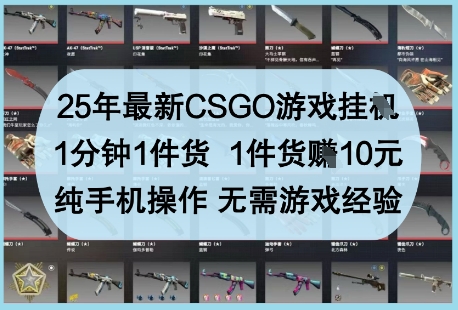 25年最新CSGO游戏挂G，1分钟1件货，1件货挣10元，纯手机操作，无需游戏经验【揭秘】_网创资源库