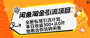 闲鱼淘金私域引流计划，从0开始玩转闲鱼，副业也可以挣到全职的工资_网创资源库