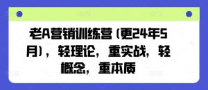 老A营销训练营(更24年12月)，轻理论，重实战，轻概念，重本质_网创资源库