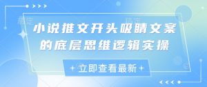 小说推文开头吸睛文案的底层思维逻辑实操_网创资源库