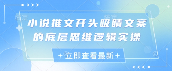 小说推文开头吸睛文案的底层思维逻辑实操_网创资源库