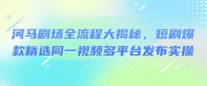 河马剧场全流程大揭秘，短剧爆款精选同一视频多平台发布实操_网创资源库