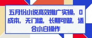 五月份小说高效推广实操，0成本，无门槛，长期可做，适合小白操作_网创资源库