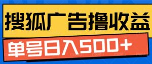搜狐视频广告全自动撸收益，单号日入5张【揭秘】_网创资源库