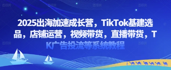 2025出海加速成长营，TikTok基建选品，店铺运营，视频带货，直播带货，TK广告投流等系统教程_网创资源库