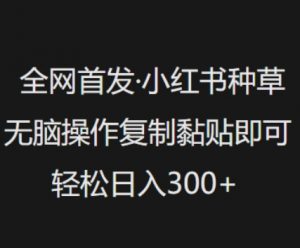 全网首发，小红书种草无脑操作，复制黏贴即可，轻松日入3张_网创资源库