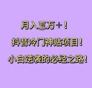 抖音冷门神贴项目，小白逆袭的必经之路，月入过W【揭秘】_网创资源库