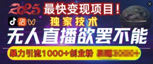 欲罢不能的无人直播引流，超暴力日引流1000+高质量精准创业粉_网创资源库