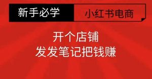 小红书零食共创【新手易上手】开个店铺，发发笔记把钱赚_网创资源库