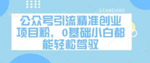 公众号引流精准创业项目粉，0基础小白都能轻松驾驭_网创资源库