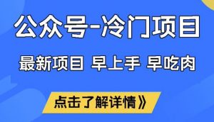 公众号冷门赛道，早上手早吃肉，单月轻松稳定变现1W【揭秘】_网创资源库