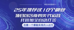 25年推荐这10个副业项目包含褂鸡类、代运营托管类、全自动打金类【揭秘】_网创资源库