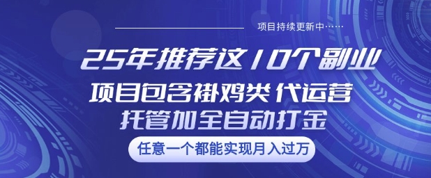 25年推荐这10个副业项目包含褂鸡类、代运营托管类、全自动打金类【揭秘】_网创资源库
