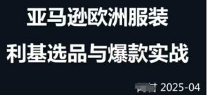跨境电商选品案例24-25年，聚焦跨境电商选品策略与运营优化，助力卖家挖掘蓝海市场_网创资源库