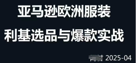 跨境电商选品案例24-25年，聚焦跨境电商选品策略与运营优化，助力卖家挖掘蓝海市场_网创资源库