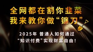 全网都在割你韭菜，我来教你做镰刀,2025普通人如何通过知识付费，实现财F自由【揭秘】_网创资源库