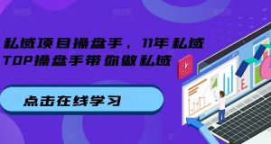 私域项目操盘手，11年私域TOP操盘手带你做私域_网创资源库