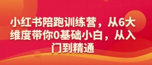 小红书陪跑训练营，从6大维度带你0基础小白，从入门到精通_网创资源库