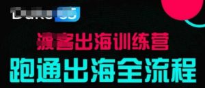 出海训练营基础课，​跑通出海全流程，实战案例拆解_网创资源库