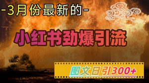 小红书超劲爆引流手段，图文日引300+轻松变现1W_网创资源库