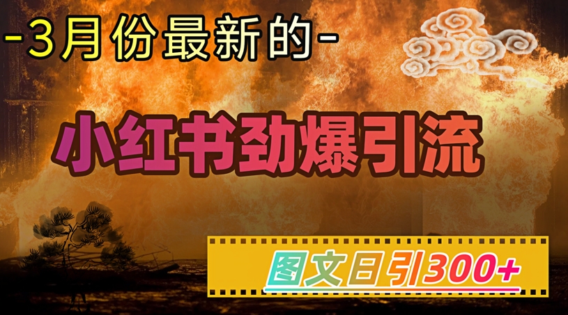 小红书超劲爆引流手段，图文日引300+轻松变现1W_网创资源库
