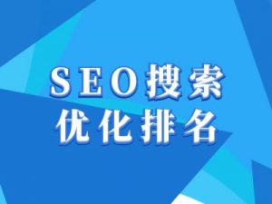 抖音搜索SEO教程，抖音SEO搜索优化排名_网创资源库