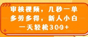 视频审核员，几秒一单，不限时间，不限地点，多做多得，新人小白一天轻松几张+【揭秘】_网创资源库