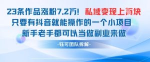 抖音私域项目23条作品涨粉7.2W，私域变现1W_网创资源库