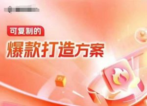 天猫电商爆款运营，可复制的爆款打造方案(线下内训课录音+字幕)_网创资源库