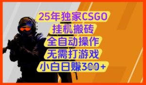 25年独家CSGO挂G搬砖，全自动操作，无需打游戏，小白日入3张+【揭秘】_网创资源库